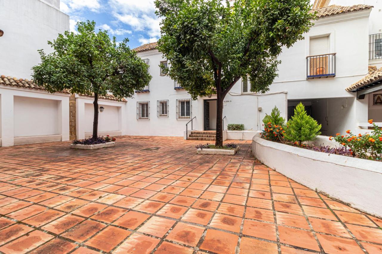 Allo Porvenir Centro 1